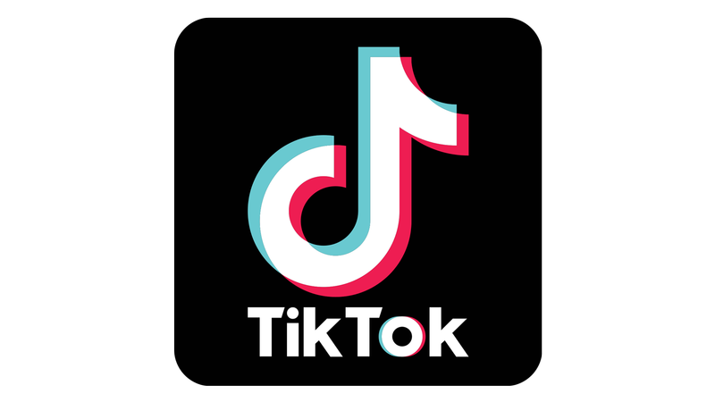 TikTok Partner